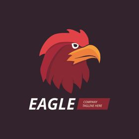 雄鹰LOGO