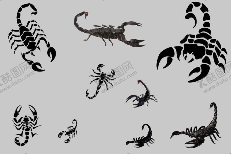 编号：28931909301706519392【酷图网】源文件下载-蝎子