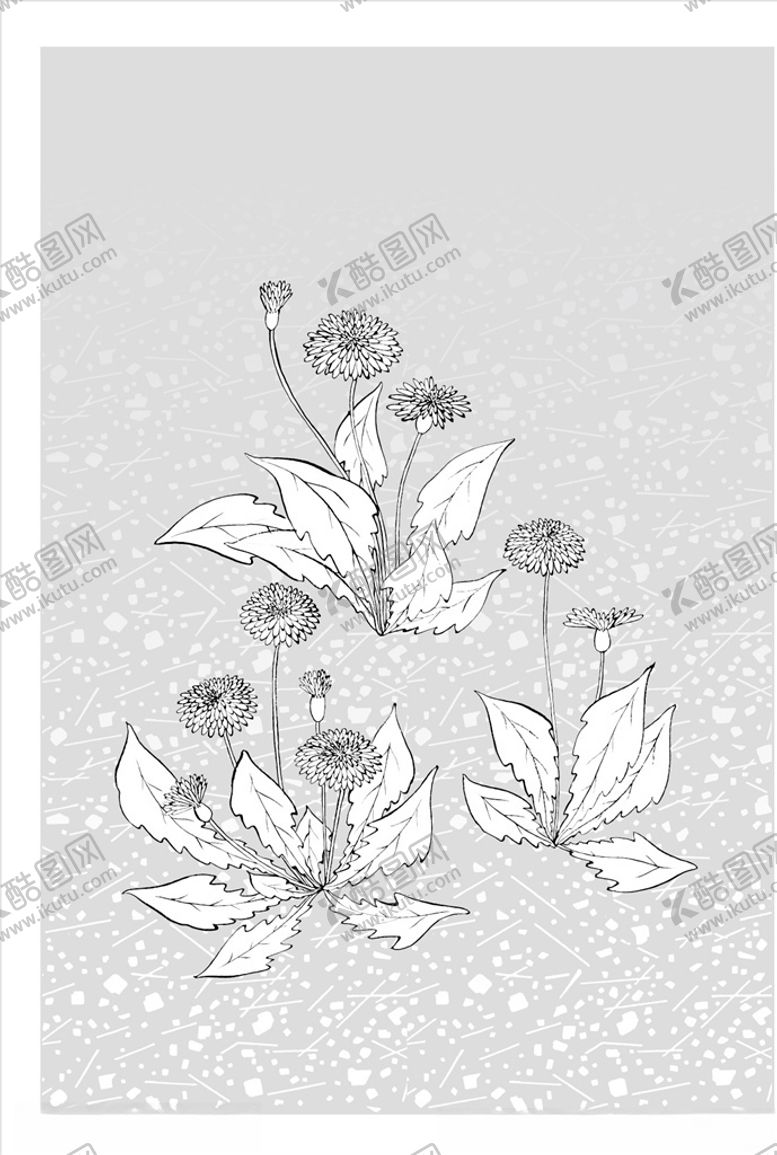 编号：99321907132106464021【酷图网】源文件下载-线描花朵