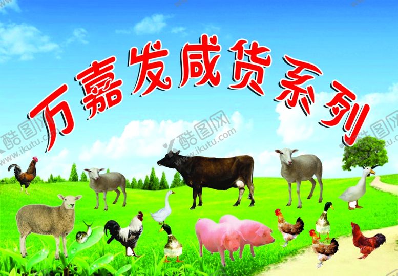 编号：37700006260350078618【酷图网】源文件下载-咸货系列家禽图片模板