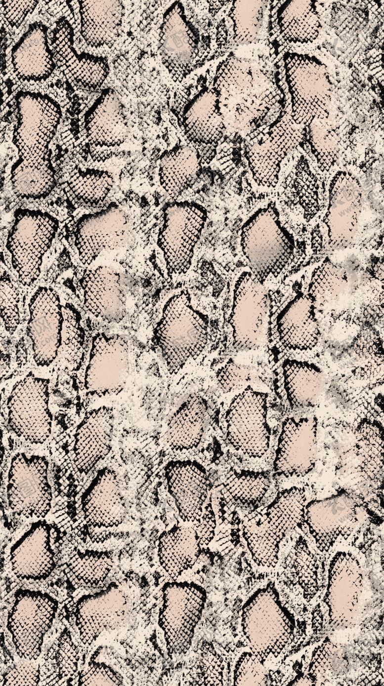 编号：92557609121803346886【酷图网】源文件下载-蛇纹