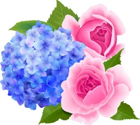 写实花卉彩色手绘唯美