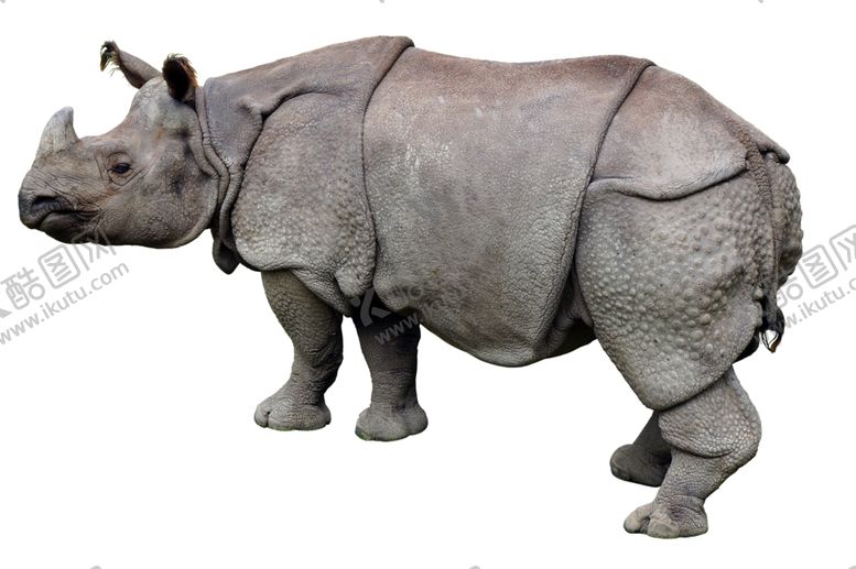 编号：44282809271647243691【酷图网】源文件下载-犀牛