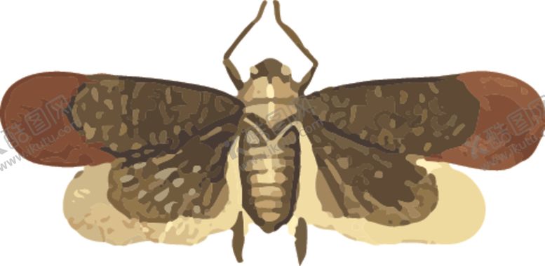 编号：38429510302145457069【酷图网】源文件下载-飞蛾昆虫插画
