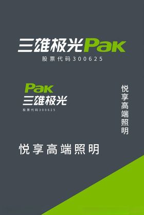 三雄极光单页