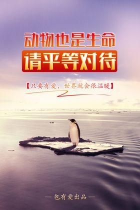 保护野生动物海报海报展板