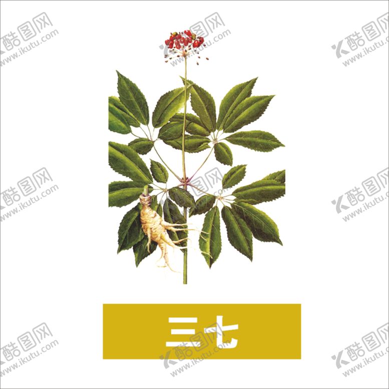 编号：82265409200916365409【酷图网】源文件下载-草本植物