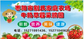 草莓园摘草莓