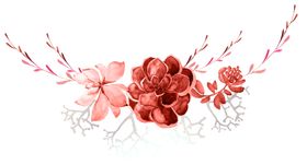 水彩植物花朵装饰