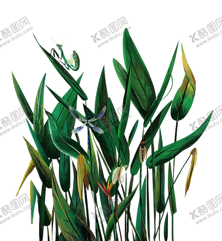 编号：80708909141821513977【酷图网】源文件下载-绿色装饰