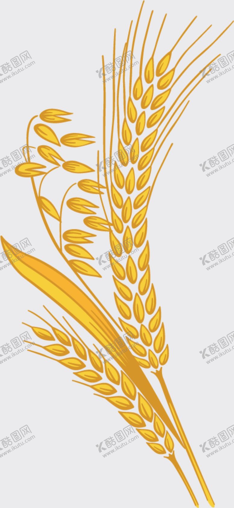 编号：73667412182124026299【酷图网】源文件下载-麦穗