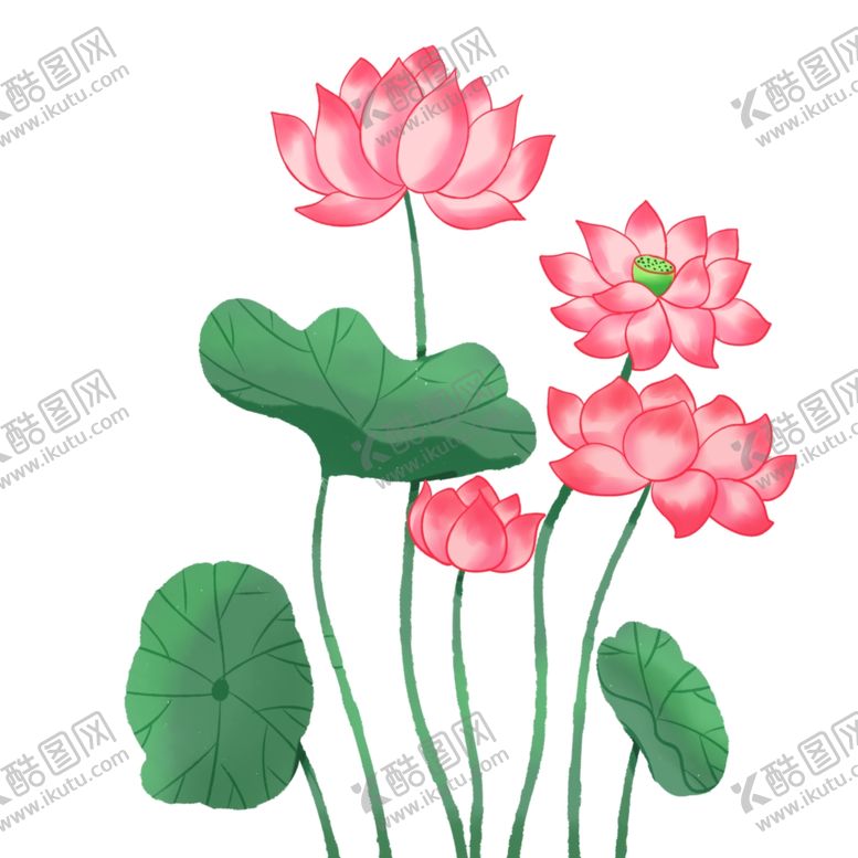 编号：92564803141030157018【酷图网】源文件下载-荷花