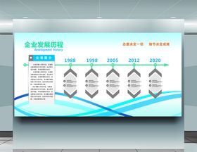 企业发展历程