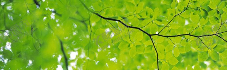 编号：20202310111654321006【酷图网】源文件下载-banner背景