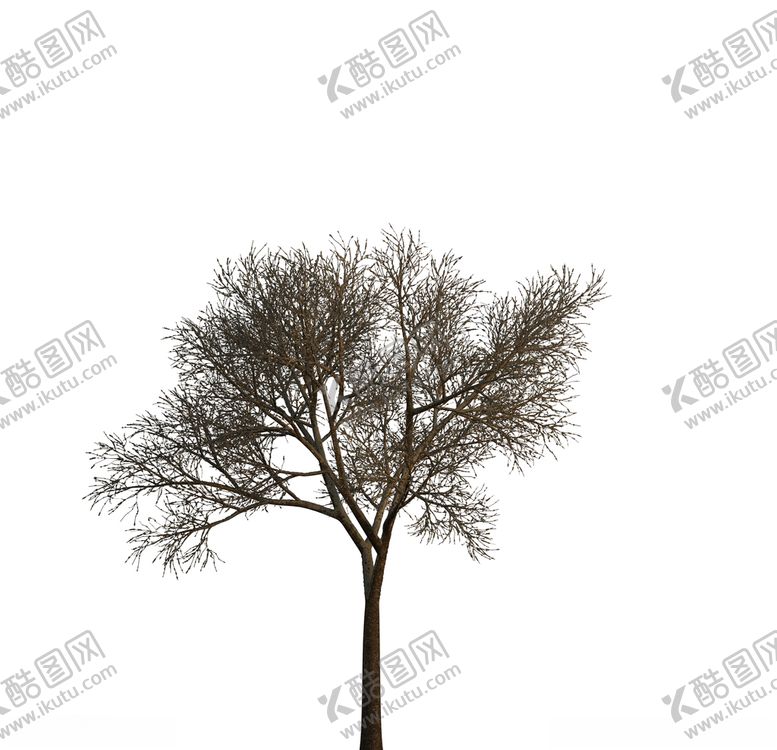 编号：52690710042101174528【酷图网】源文件下载-树木