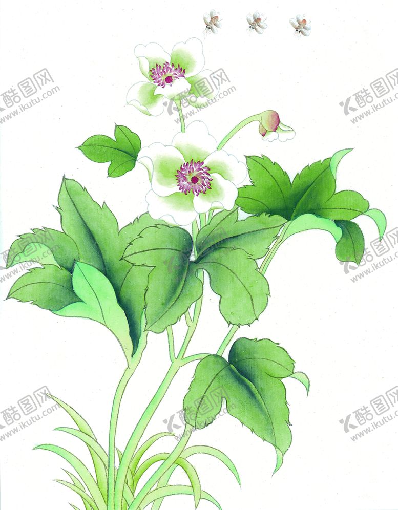 编号：53792109170718206892【酷图网】源文件下载-花鸟画 