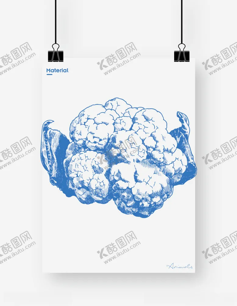 编号：39128404161555473908【酷图网】源文件下载-花菜