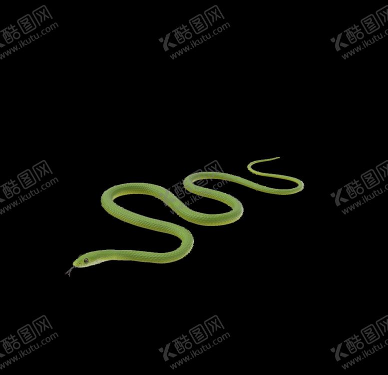 编号：19889607031053413822【酷图网】源文件下载-小青蛇
