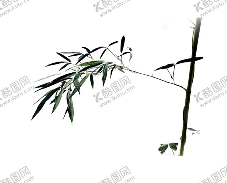编号：87834607042340546978【酷图网】源文件下载-水墨竹子