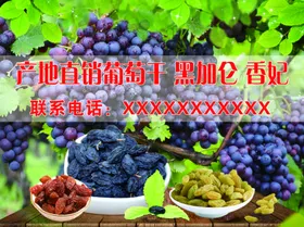 葡萄