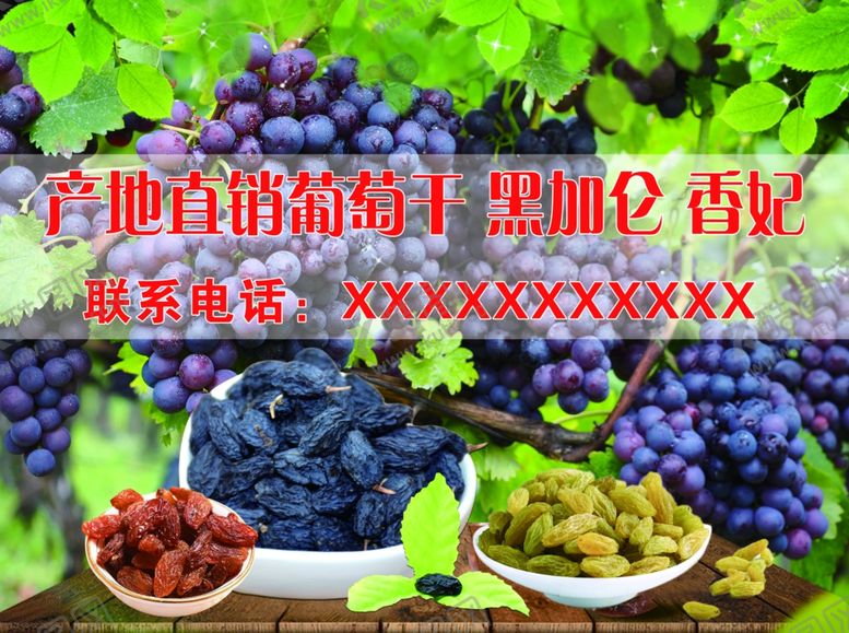 编号：10724410182019475310【酷图网】源文件下载-葡萄