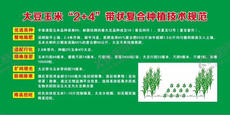 编号：27639910282128424894【酷图网】源文件下载-大豆玉米带状复合种植技术规范