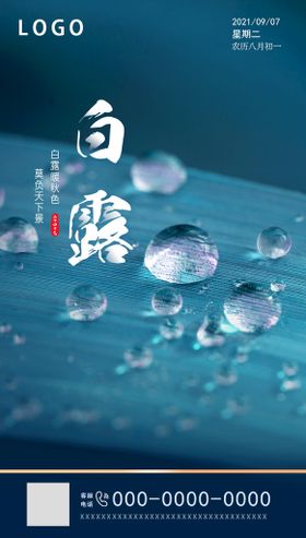 白露节气海报图片