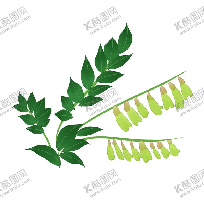 编号：68862604060606224841【酷图网】源文件下载-草本植物药材