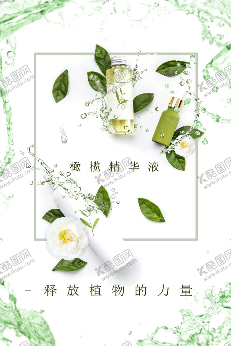 编号：46269201151412166998【酷图网】源文件下载-橄榄精华液