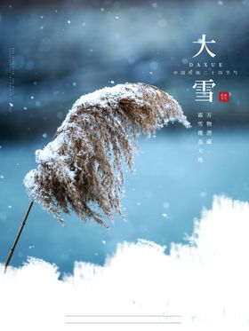 24节气之大雪