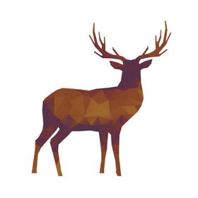 动物插画