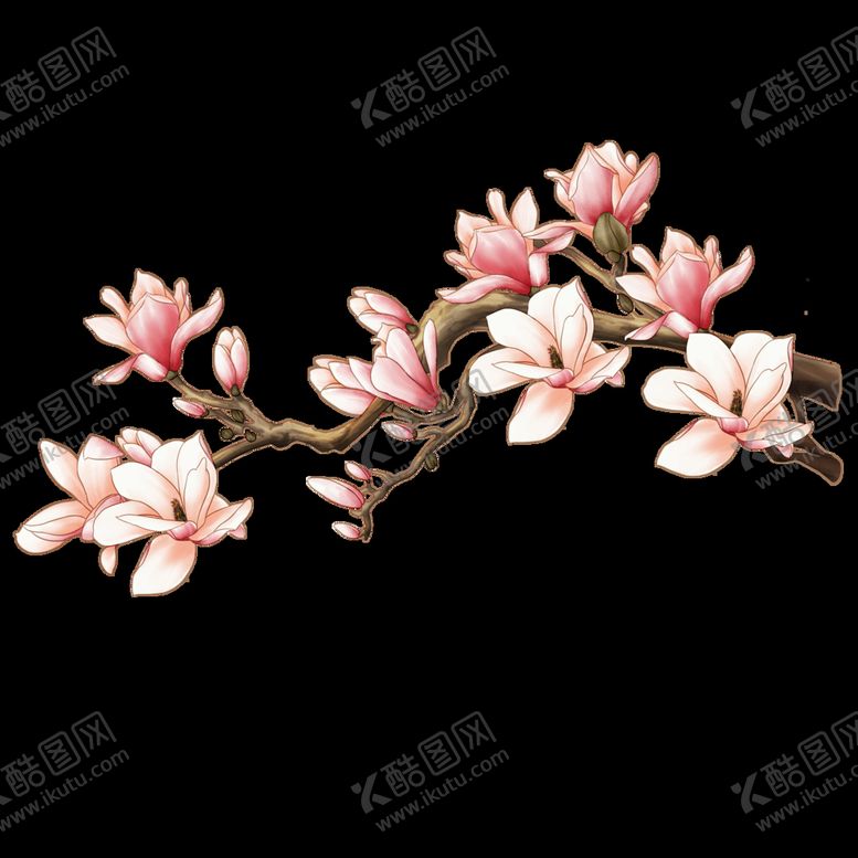 编号：32548510261226337746【酷图网】源文件下载-玉兰花
