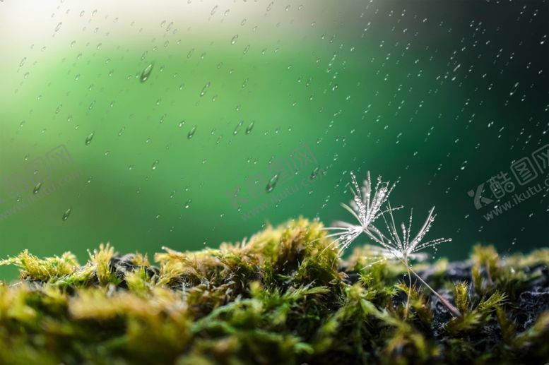 编号：57062609221139223183【酷图网】源文件下载-雨天图片素材