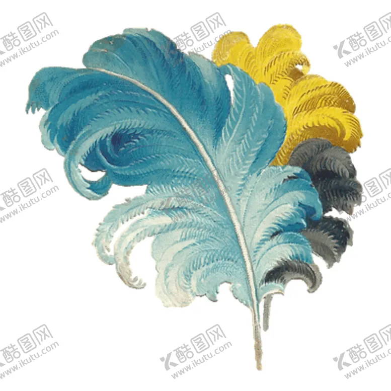 编号：47045309122247583314【酷图网】源文件下载-羽毛