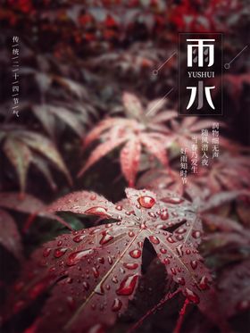 雨水节海报展板素材