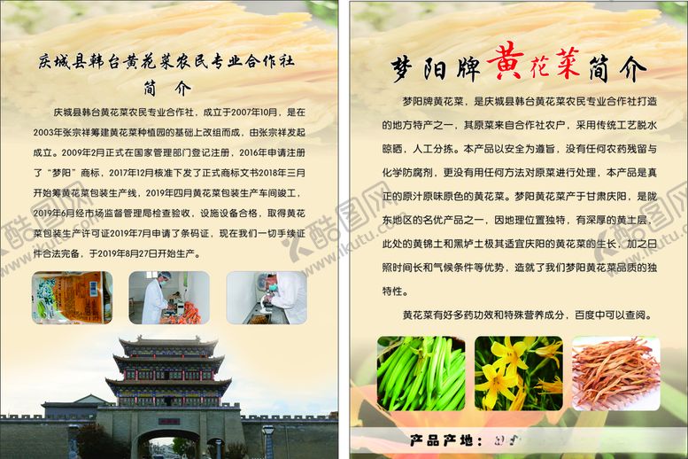 编号：34682609300849395485【酷图网】源文件下载-黄花菜宣传彩页