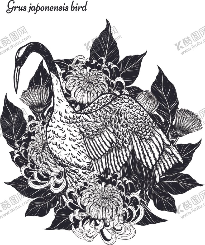 编号：50458107130821257553【酷图网】源文件下载-纯色绘画植物花朵