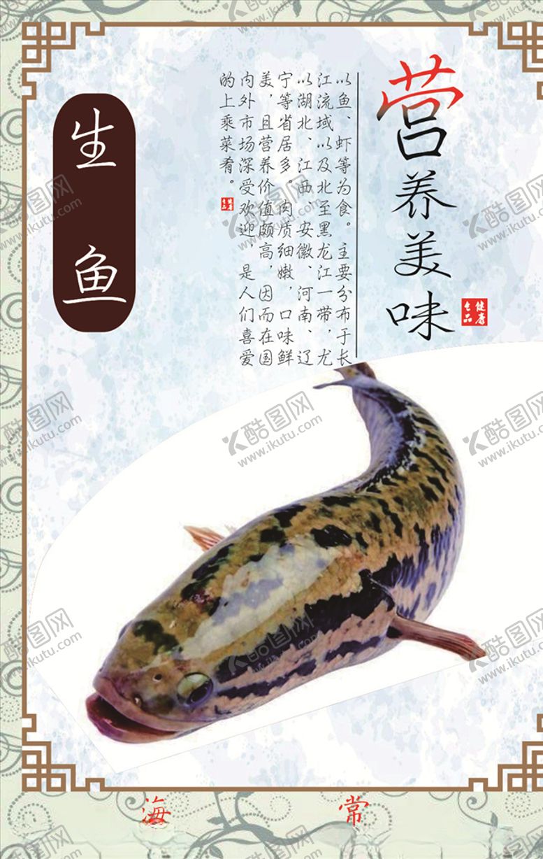 编号：47847805101531576969【酷图网】源文件下载-生鱼