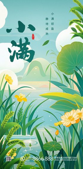 小满插画风格节气海报