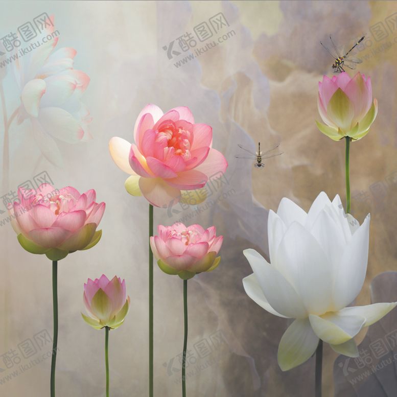 编号：83236810032345043830【酷图网】源文件下载-立体荷花蜻蜓飞舞唯美墙体画