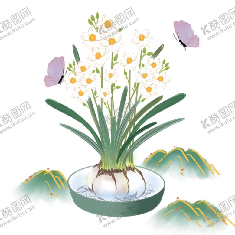 编号：46189210270242439677【酷图网】源文件下载-水仙花