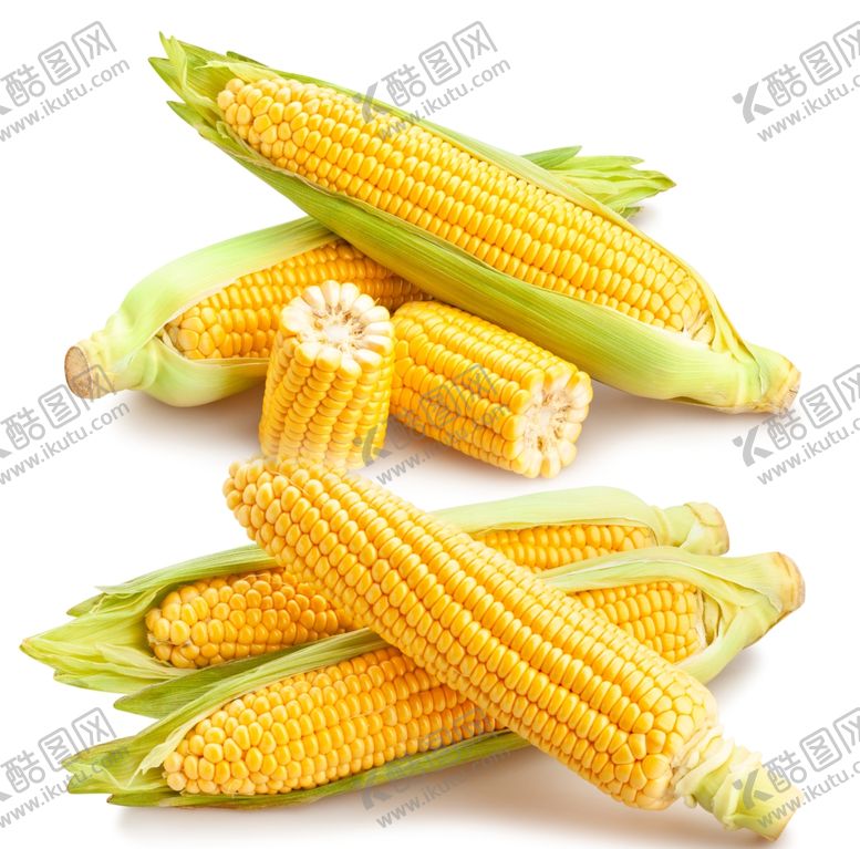 编号：45865605190840588012【酷图网】源文件下载-玉米
