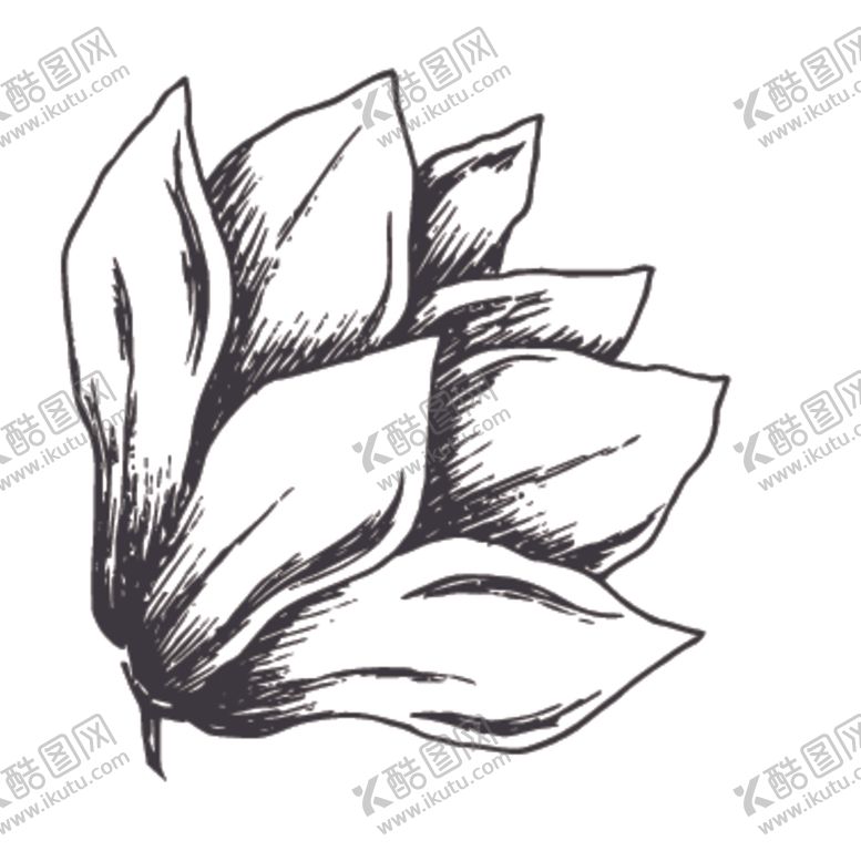 编号：57590709280826112579【酷图网】源文件下载-简笔绘画植物花朵图谱