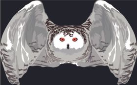 猫头鹰