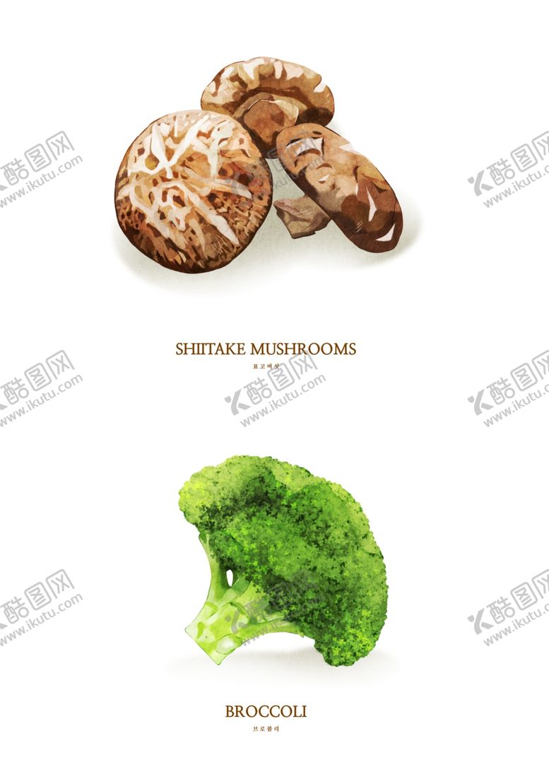 编号：16940105091430317507【酷图网】源文件下载-蘑菇花菜