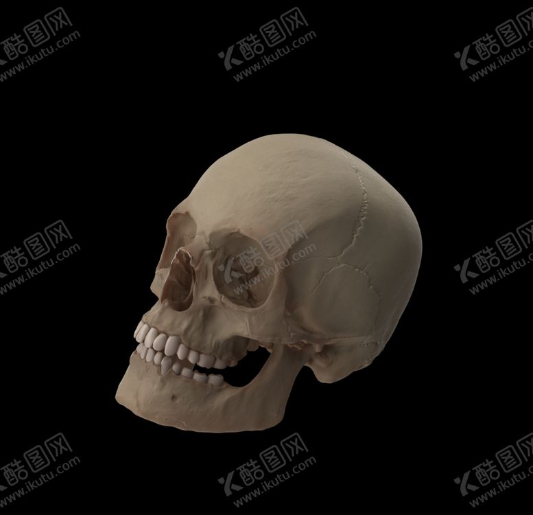 编号：44807306260535293336【酷图网】源文件下载-骷髅头