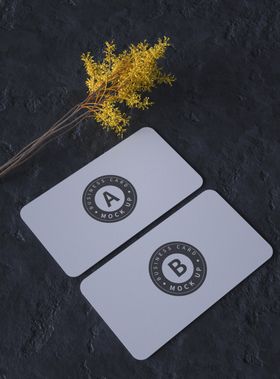 名片样机晓雪设计包装mockups