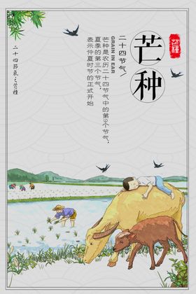 芒种二十四节气海报