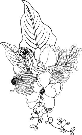 花卉填色图