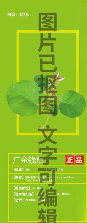 广金钱草